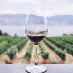 bicchiere di vino marchigiano con vite in sfondo